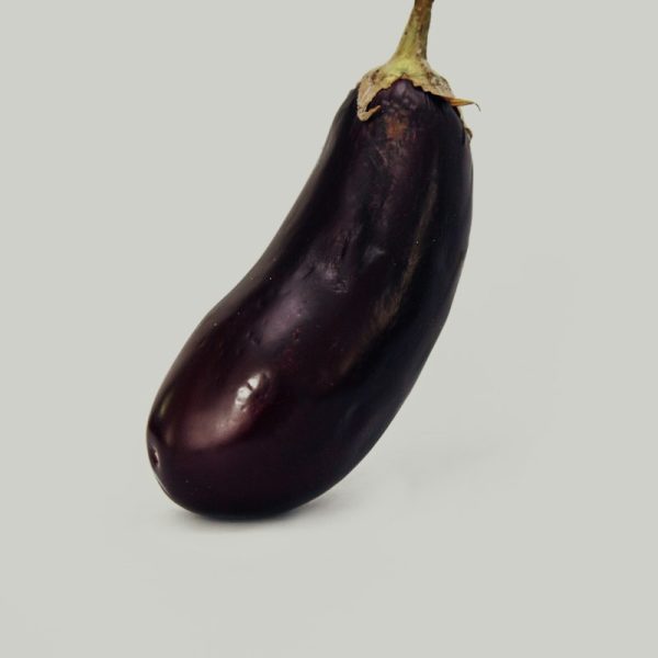 Long Brinjal